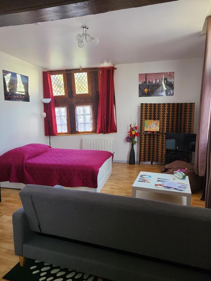 Appartement Du Vieux Troyes Ngoại thất bức ảnh