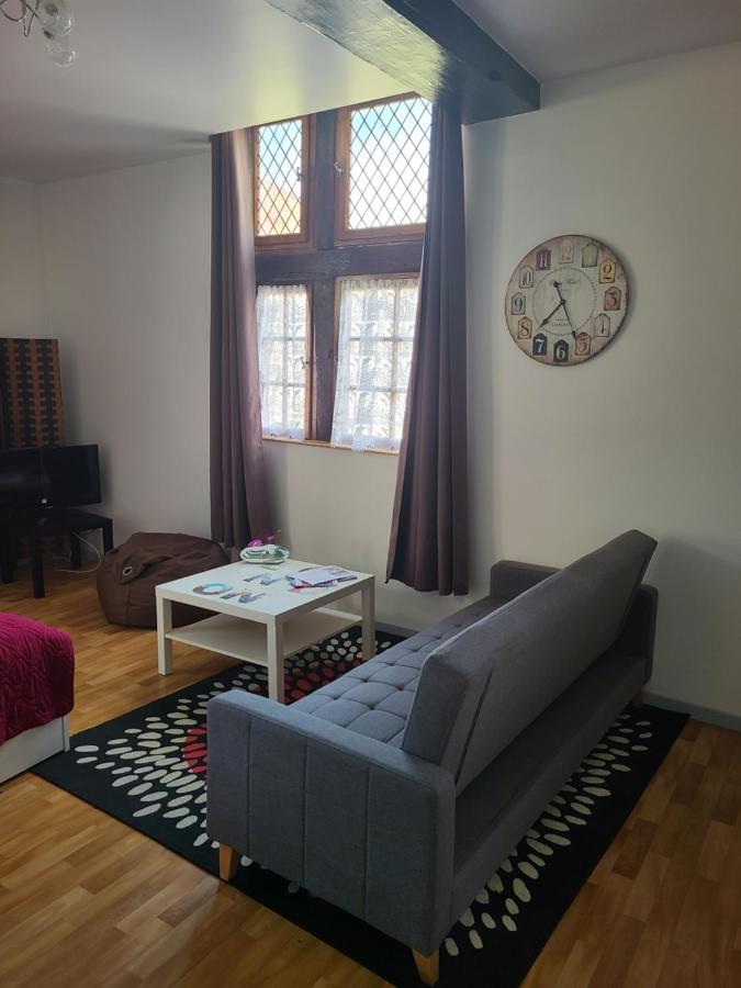 Appartement Du Vieux Troyes Ngoại thất bức ảnh