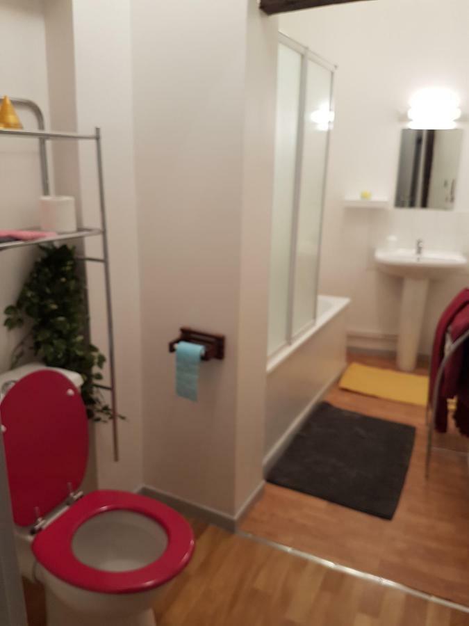 Appartement Du Vieux Troyes Ngoại thất bức ảnh